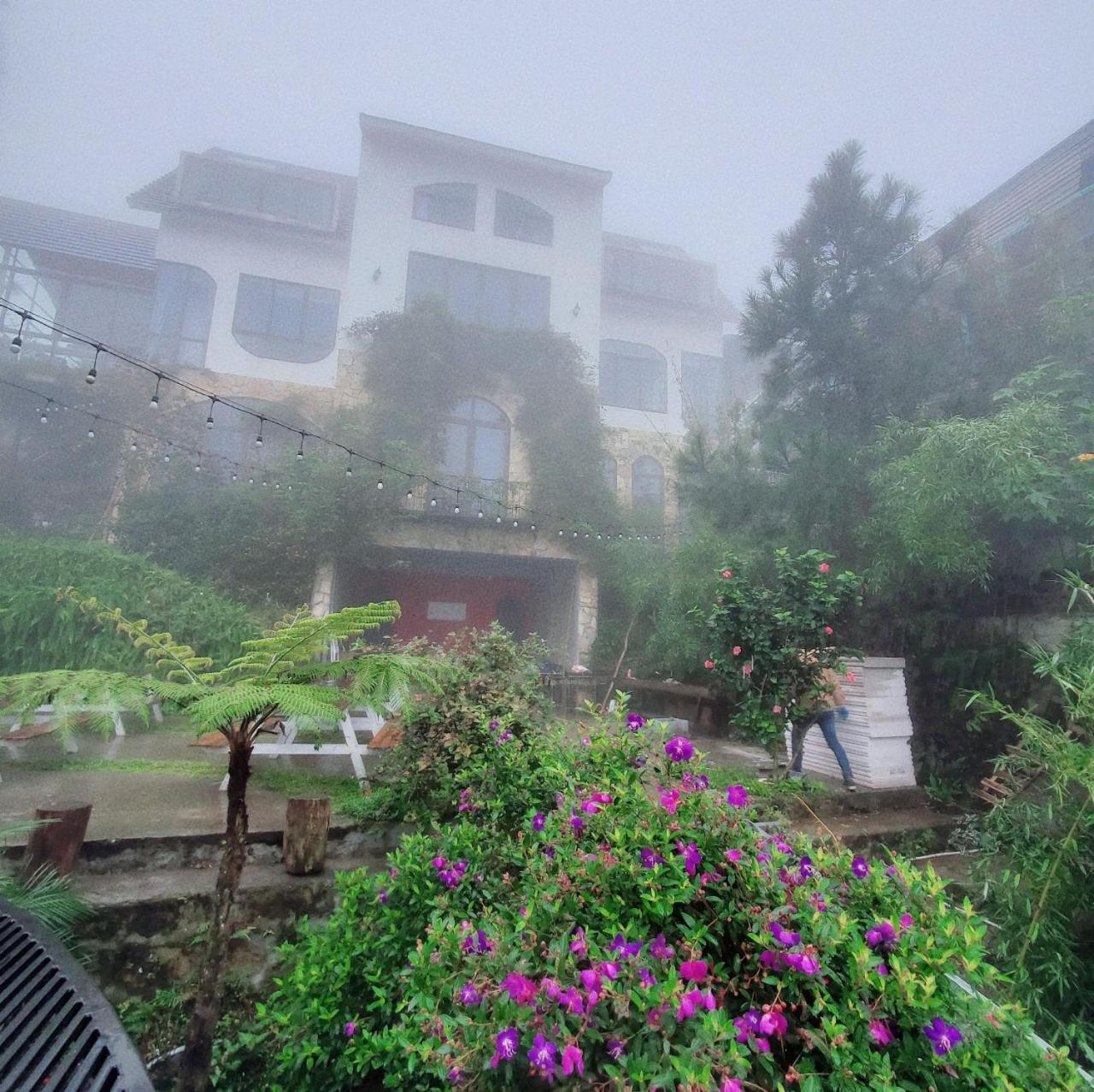 Le Vent Tam Dao Homestay Екстериор снимка