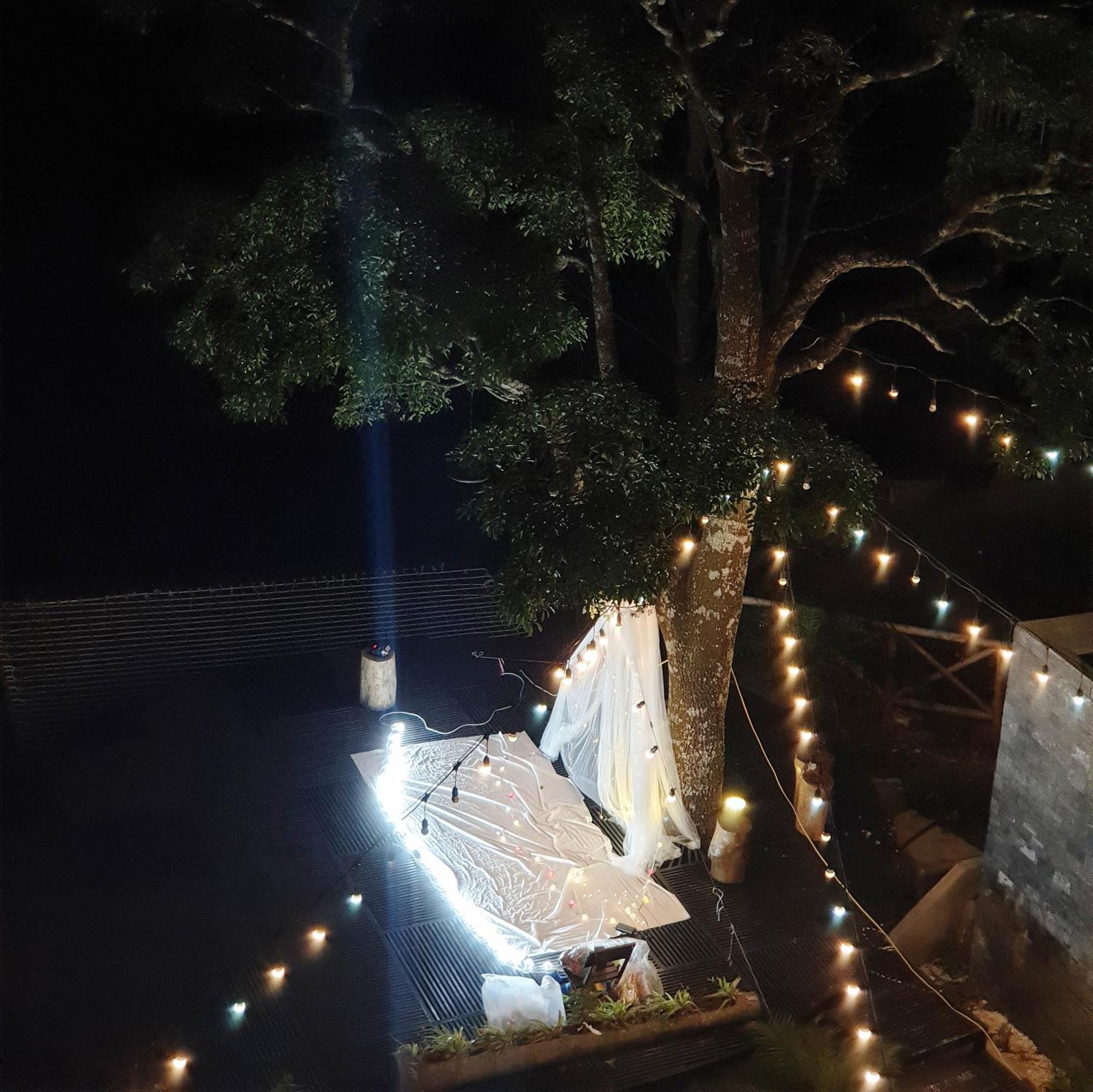 Le Vent Tam Dao Homestay Екстериор снимка